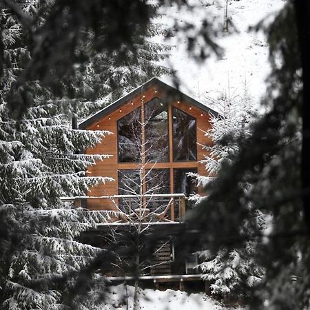 Шале DEREVA Яблоница Экстерьер фото
