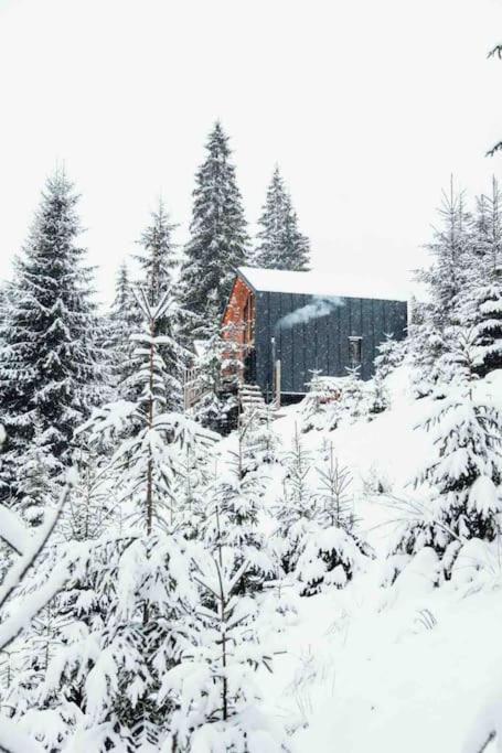 Шале DEREVA Яблоница Экстерьер фото