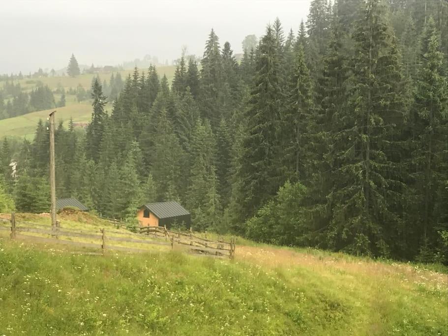 Шале DEREVA Яблоница Экстерьер фото